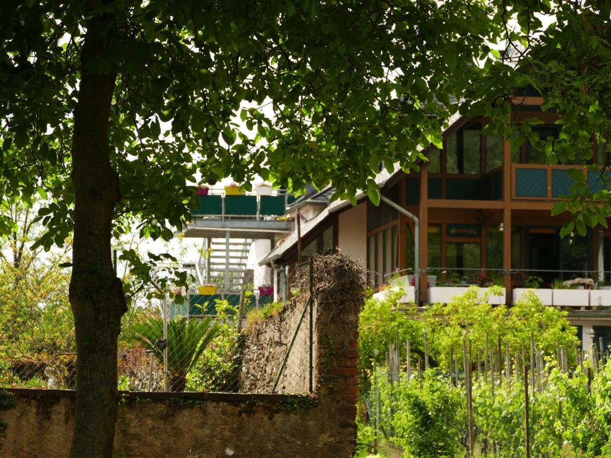 Luiza Fewo Trittenheim Exterior foto